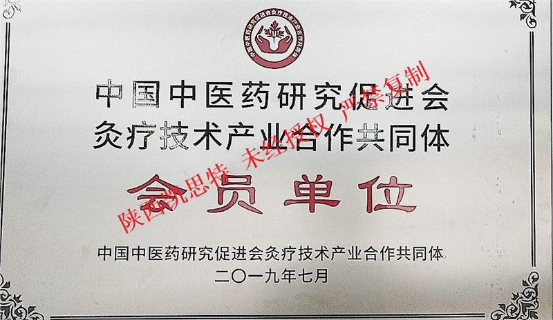【陜西凱思特】中醫(yī)藥研究促進(jìn)會(huì)合作會(huì)員單位榮譽(yù)